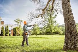 Trusted Lyons, GA  Tree Services Experts